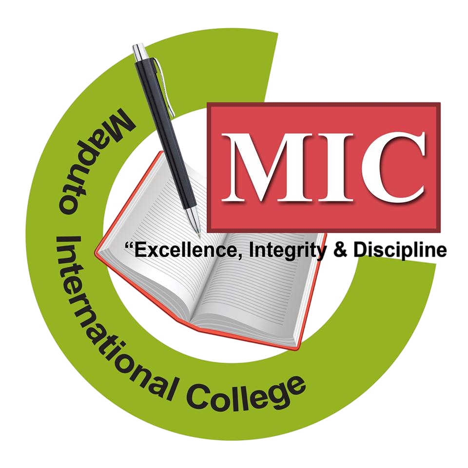 Logotipo - MIC