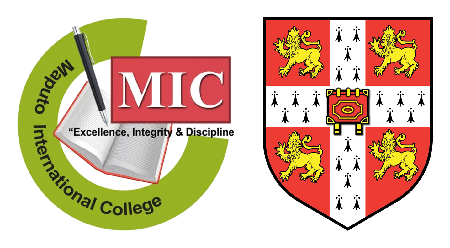MIC_logotipos_originais_proporcionais